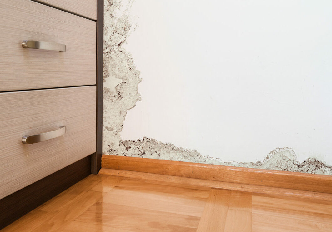 Damage caused by damp on a wall in modern house Wall Rot Rotherham, Sheffield