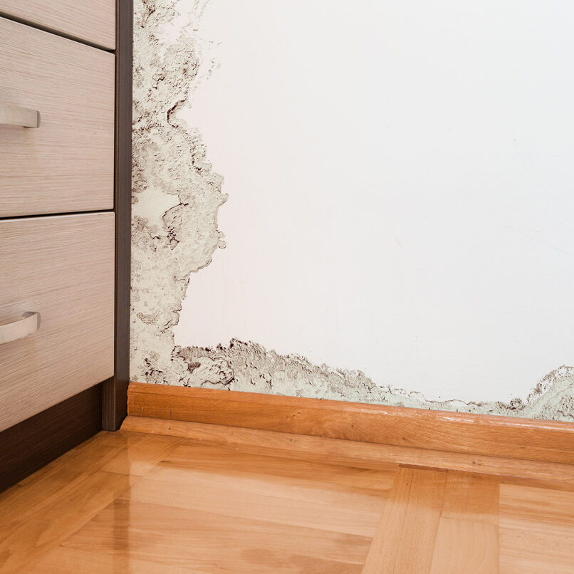 Damage caused by damp on a wall in modern house Wall Rot Rotherham, Sheffield